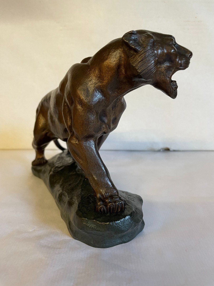 Roaring Tiger T.cartier 25x17-photo-6