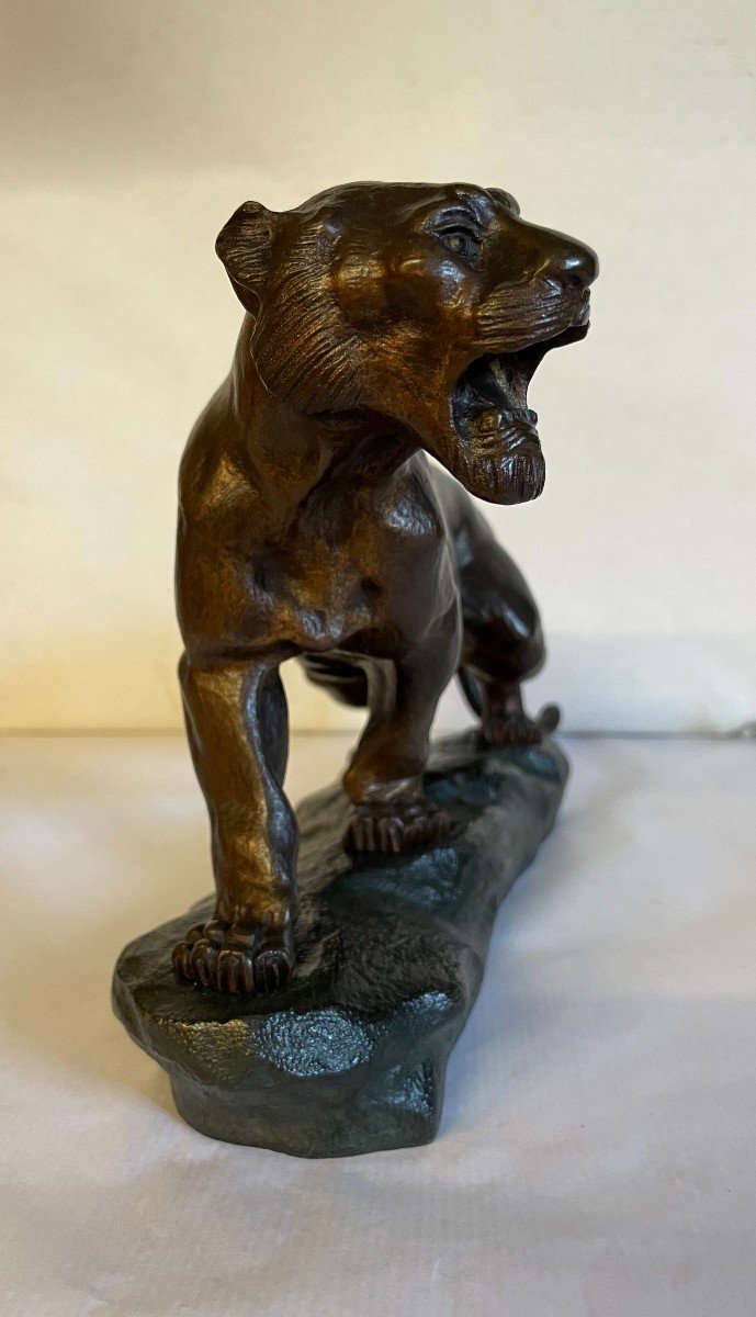 Roaring Tiger T.cartier 25x17-photo-7