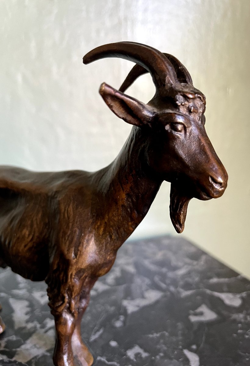 MAX LE VERRIER BRONZE ANIMALIER-photo-3