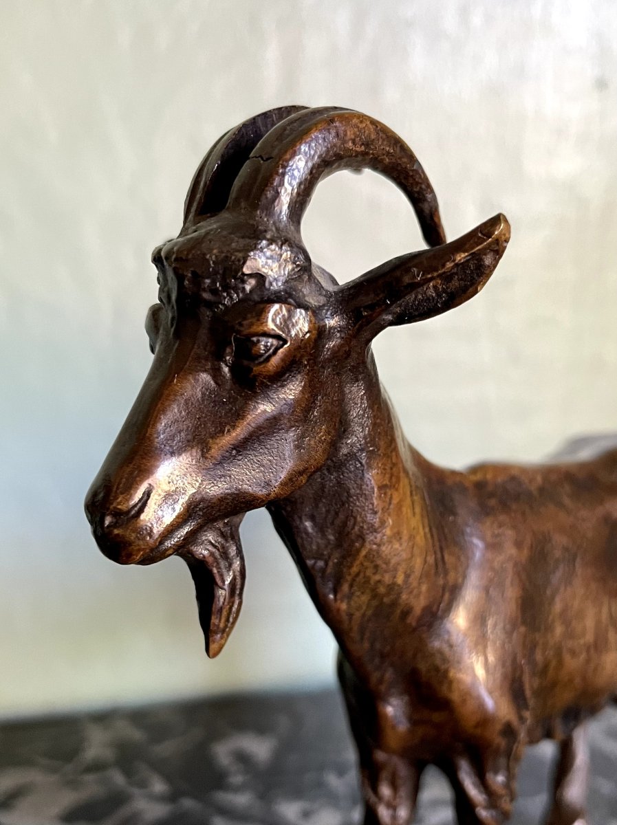 MAX LE VERRIER BRONZE ANIMALIER-photo-4
