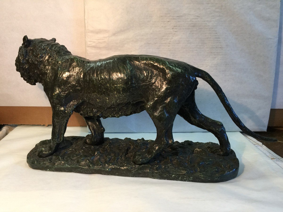 FRATIN TIGRE DE SIBERIE , LONGUEUR 59.-photo-3