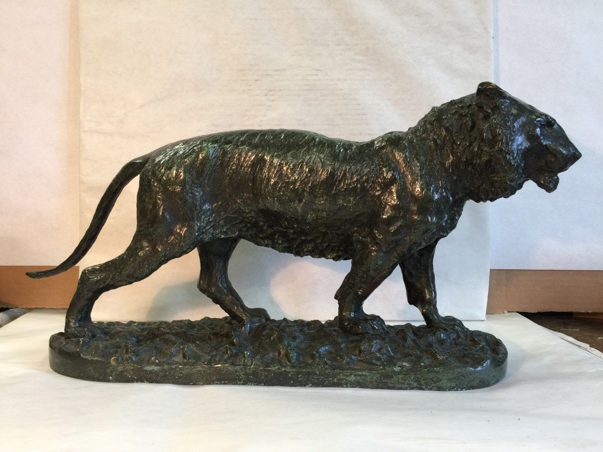 FRATIN TIGRE DE SIBERIE , LONGUEUR 59.