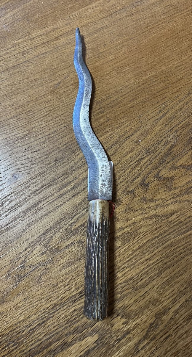 Curious Dagger With Horn Handle -photo-1