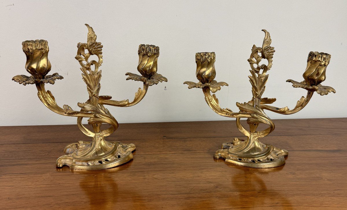 Pair Of Louis XV Rocaille Candelabra In Gilt Bronze With Two Candle Arms