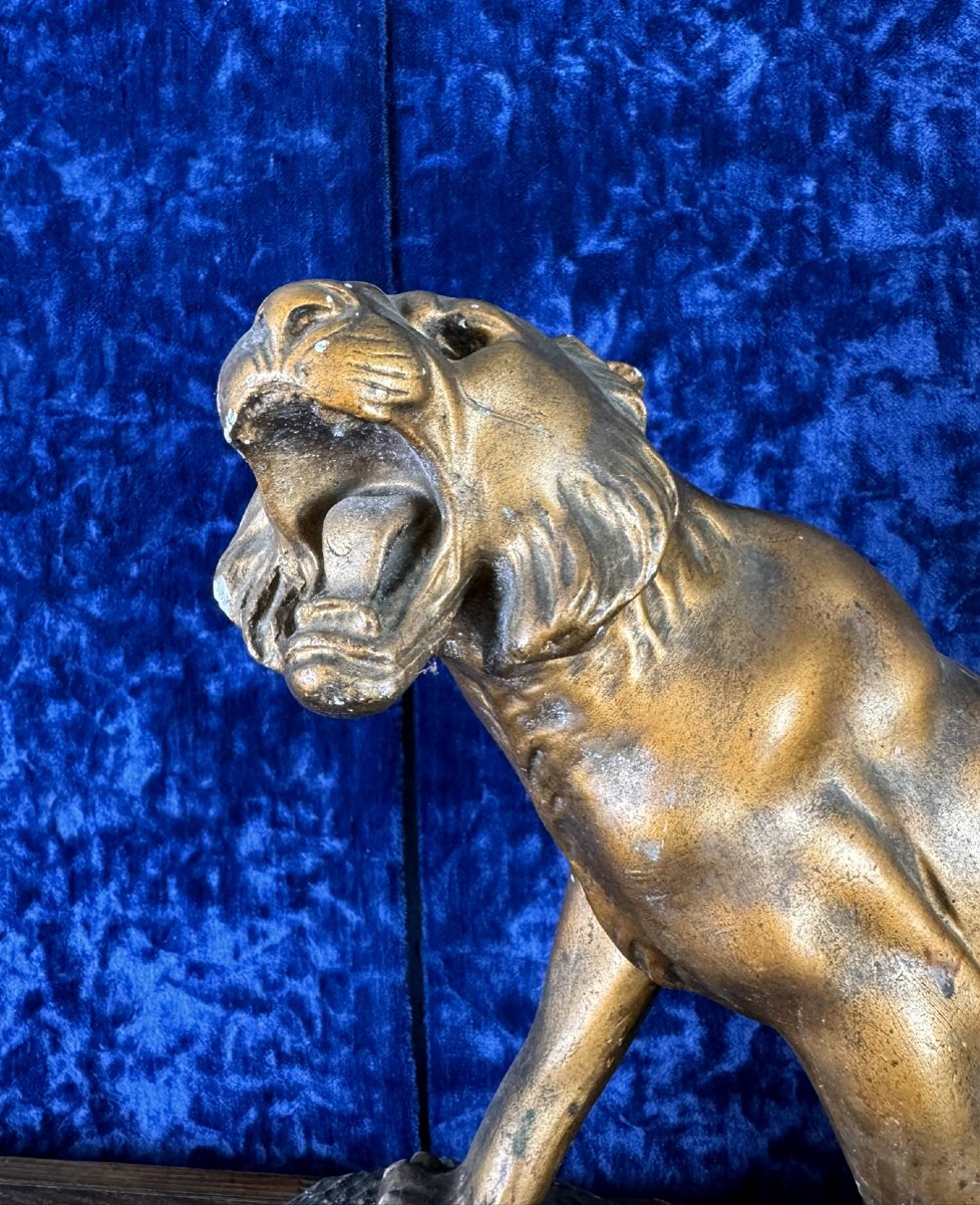 d'Après Cartier : Statue «lion Rugissant» Plâtre Patiné Bronze -photo-1