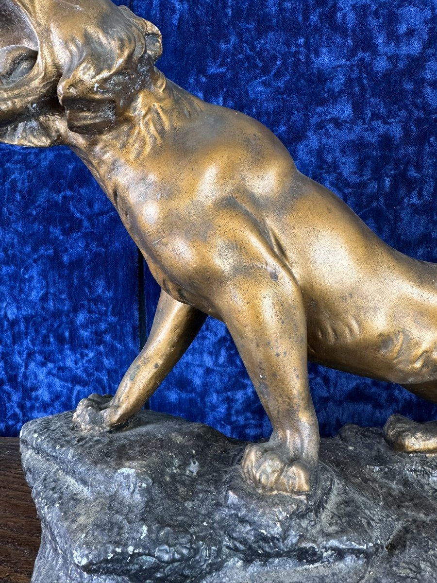 d'Après Cartier : Statue «lion Rugissant» Plâtre Patiné Bronze -photo-2