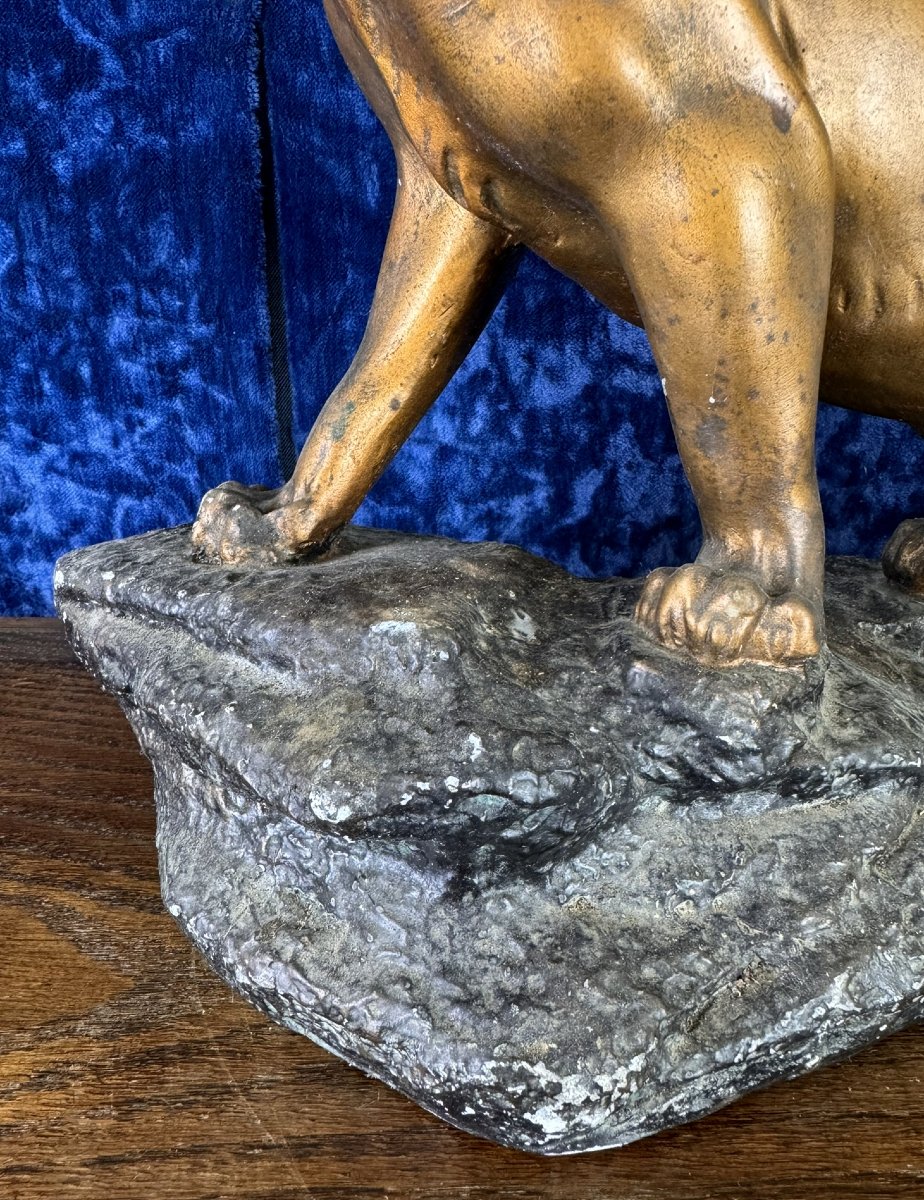 d'Après Cartier : Statue «lion Rugissant» Plâtre Patiné Bronze -photo-4