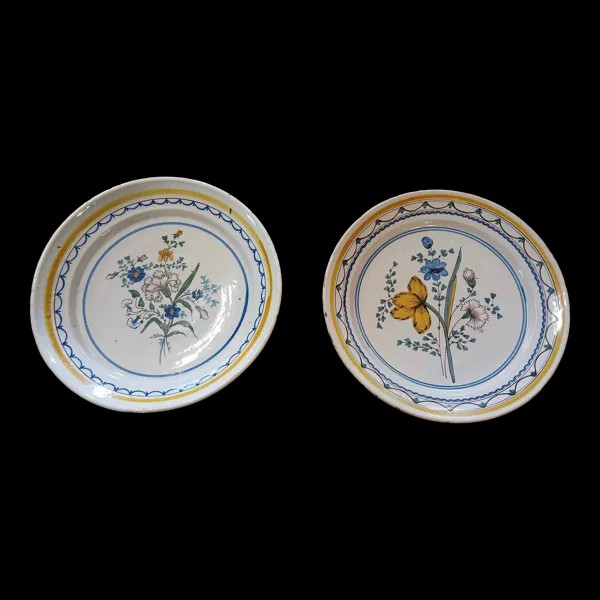 Deux très Grands Plats Creux A Décors De Fleurs en couleur