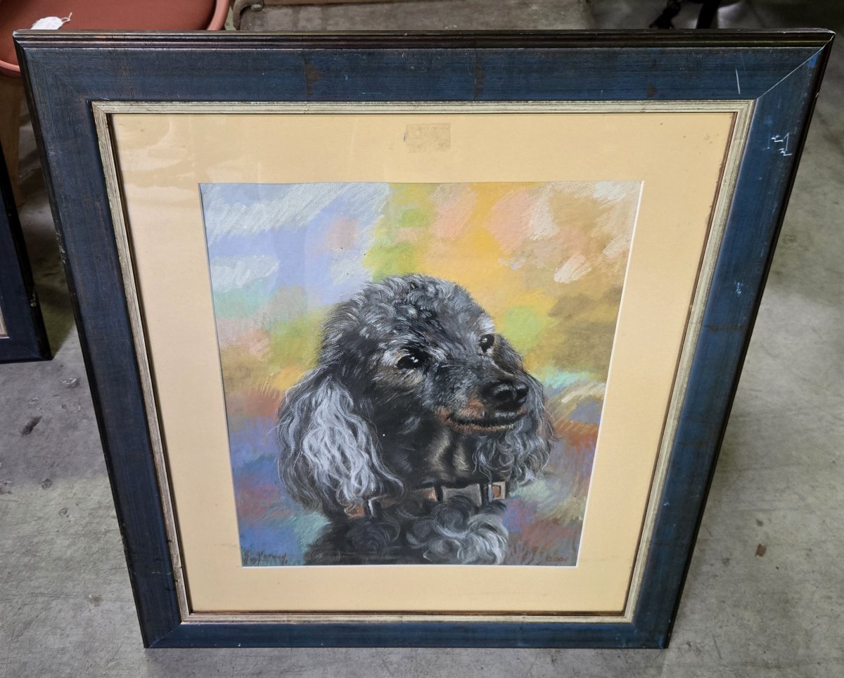 Guy Beraud 2007 : aquarelle au caniche-photo-1