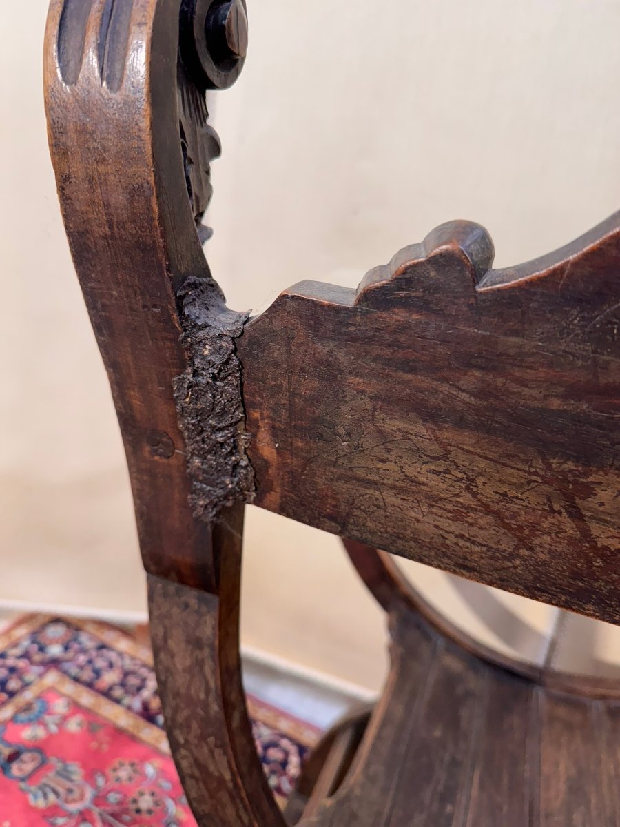 Renaissance Style Curule Or Dagobert Armchair In Walnut-photo-8