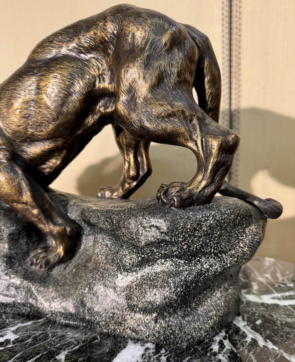 According To Thomas François Cartier: Patinated Spelter Tigne On The Lookout, Late 19th Century-photo-3