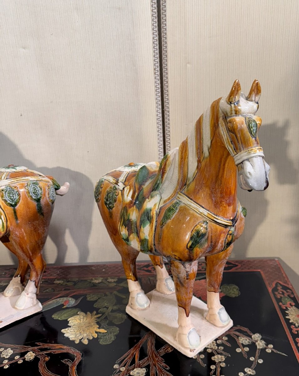 China, Tang Style: Two Horses In Polychrome Glazed Ceramic-photo-5