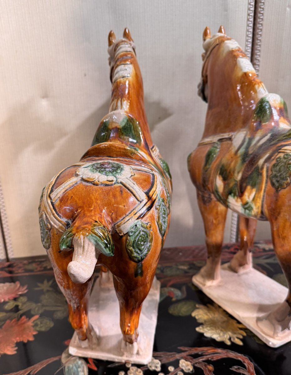 China, Tang Style: Two Horses In Polychrome Glazed Ceramic-photo-7