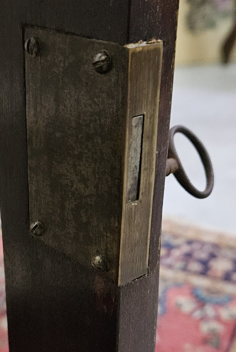 Antique Louis XV Period Display Case In Marquetry With Geometric Designs-photo-5