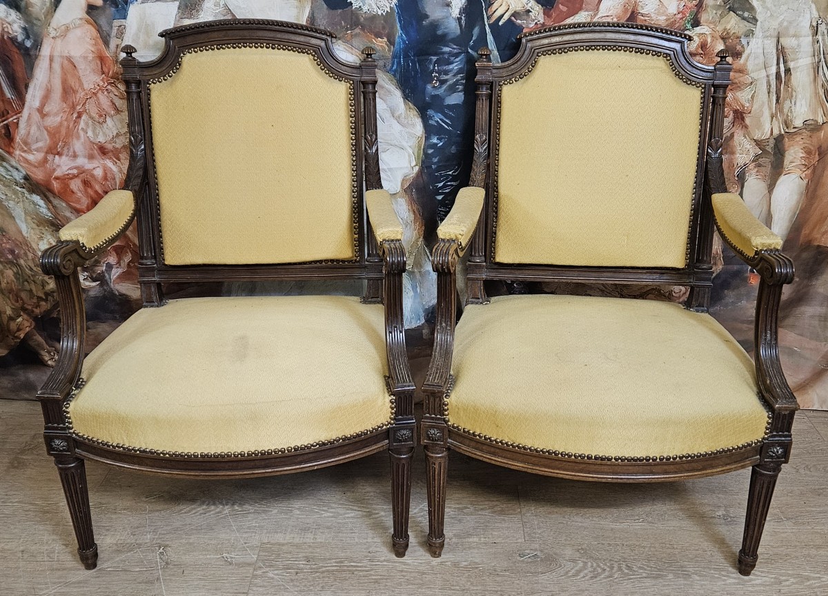Paire de fauteuils style Louis XVI, en bois sculpté