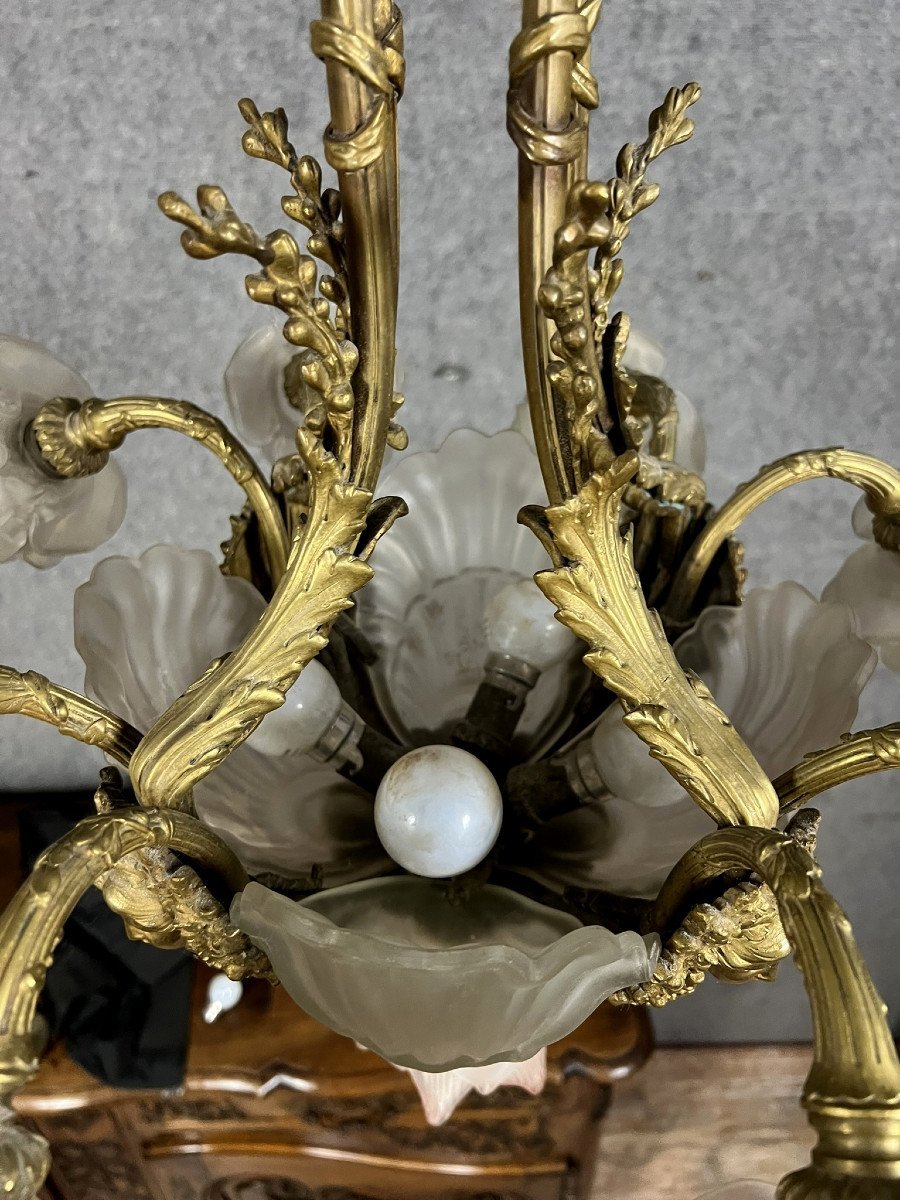 Rare And Important Gilt Bronze Chandelier With Shells And Roses-photo-5