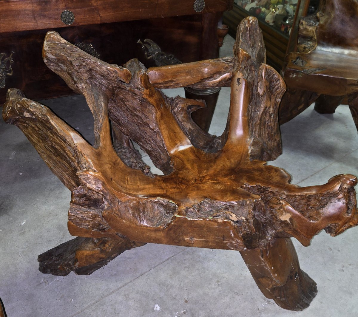 Rare fauteuil en racine d'abre -photo-3
