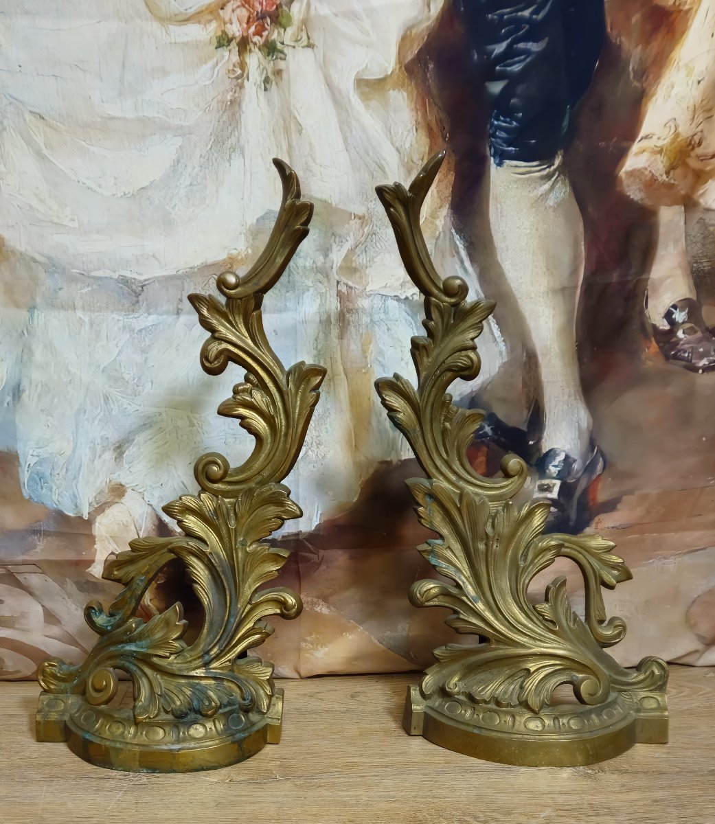 Paire de chenets / ornements décoratifs en bronze – Style Louis XV / Rocaille  -photo-1