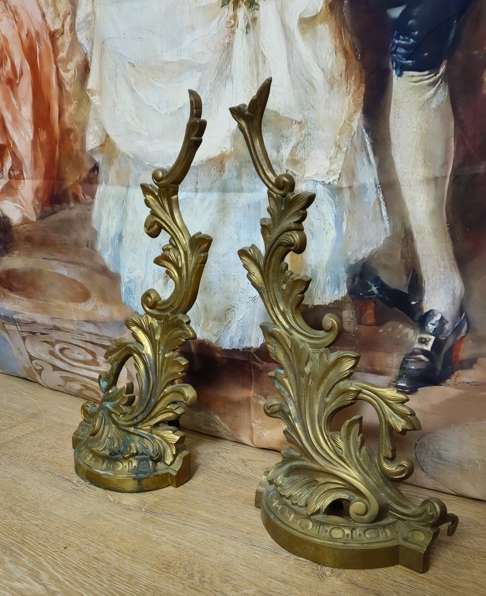 Paire de chenets / ornements décoratifs en bronze – Style Louis XV / Rocaille  -photo-2