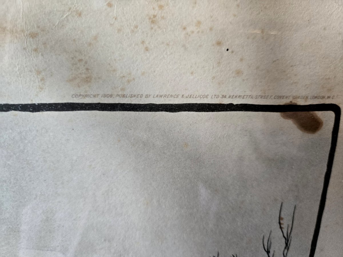 Cecil Aldin (1870-1935), After. A Hunting Morning And Drawn Blank: Polychrome Print-photo-5