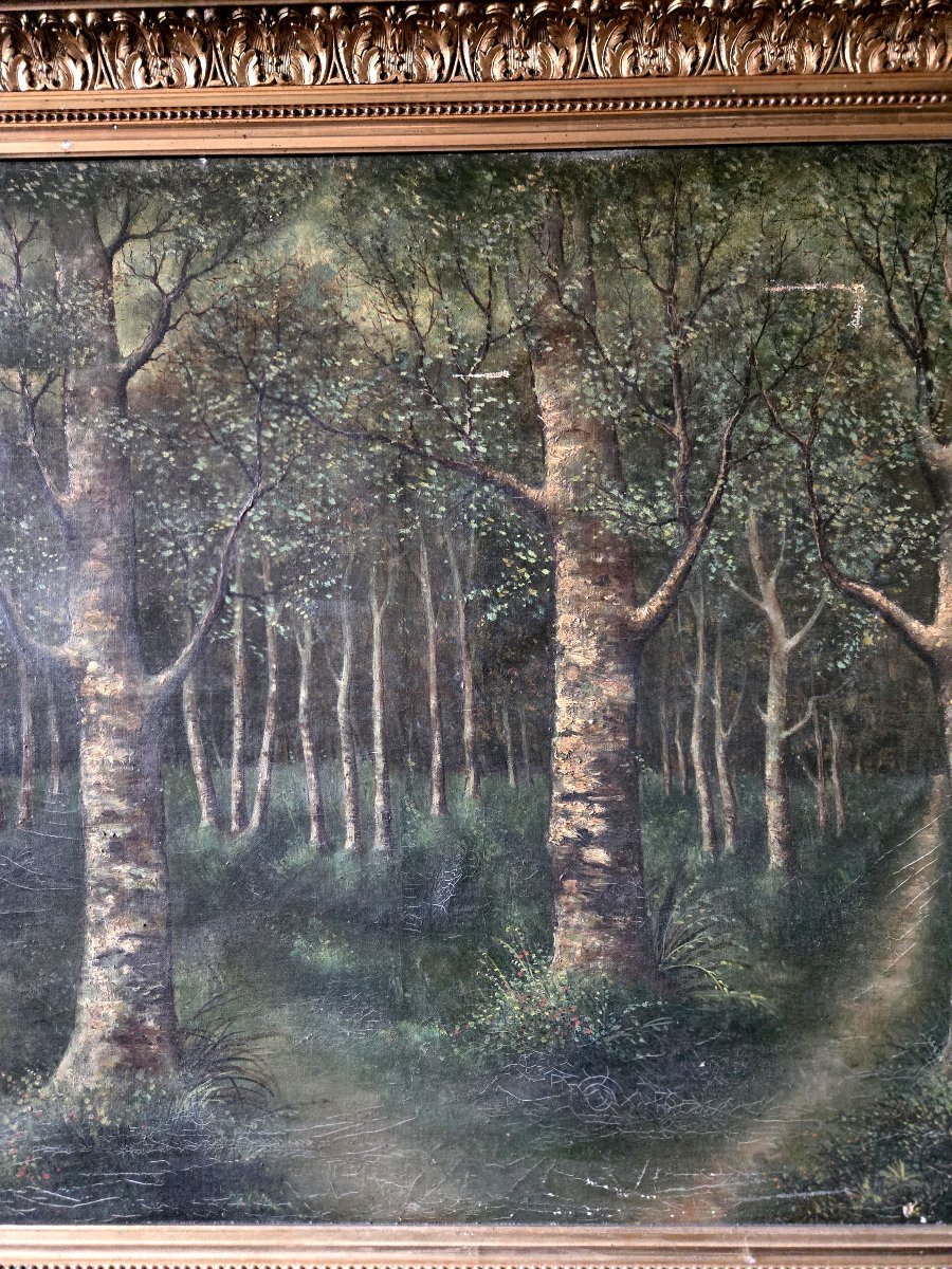 Forest Landscape – Barbizon School, 19th Century – Oil On Canvas-photo-2