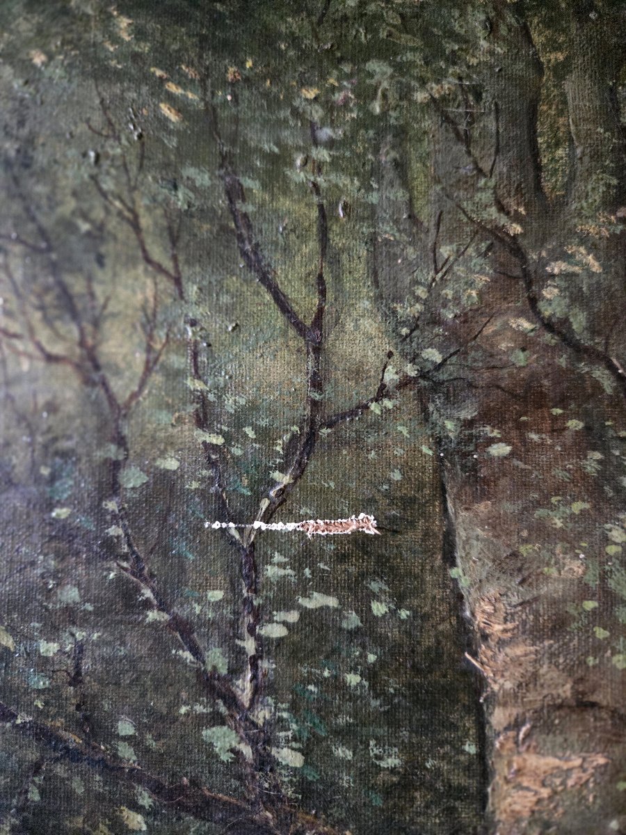 Forest Landscape – Barbizon School, 19th Century – Oil On Canvas-photo-5