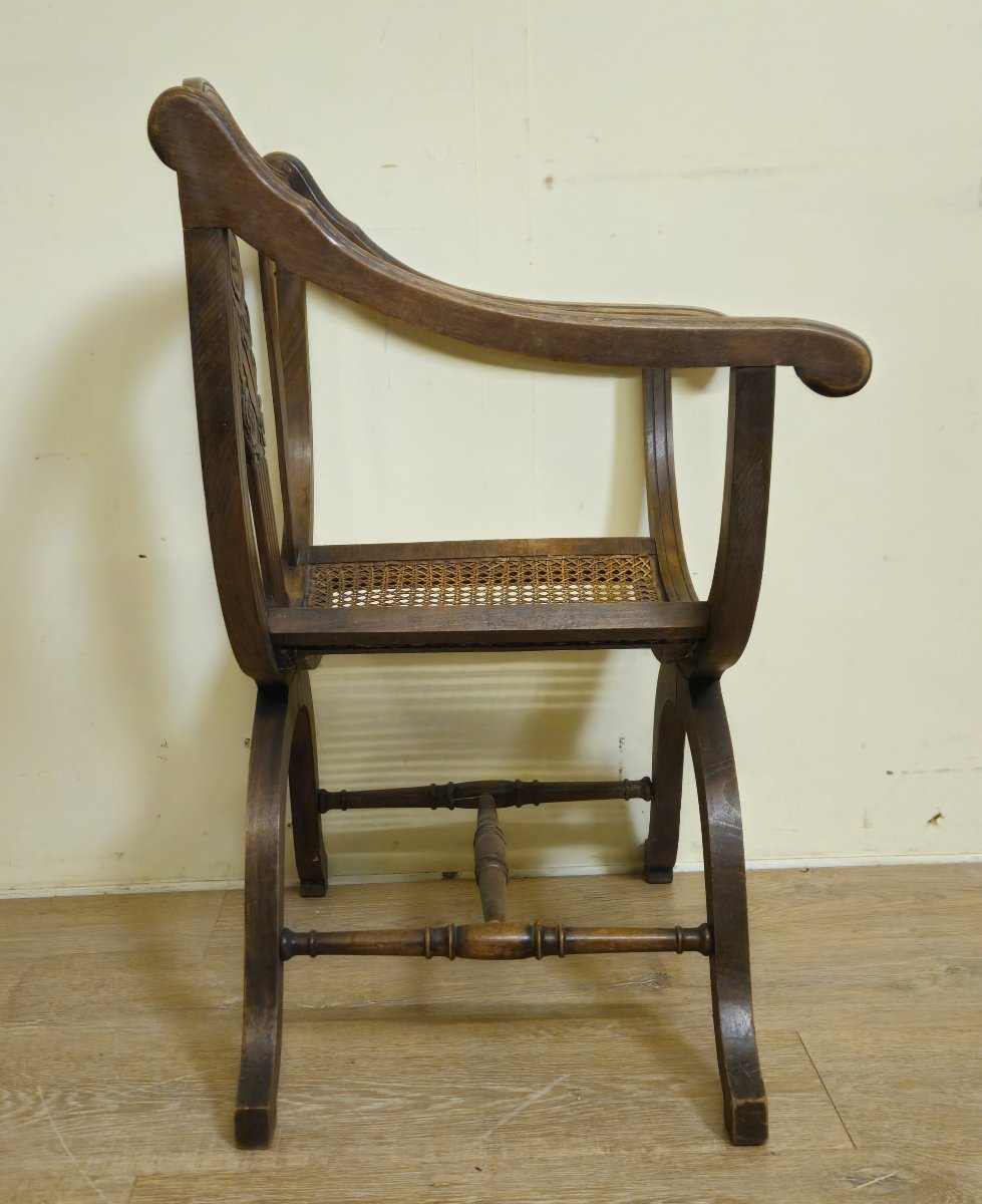 Art Nouveau Style Curule Chair / In Carved Walnut – Cane Seat -photo-6