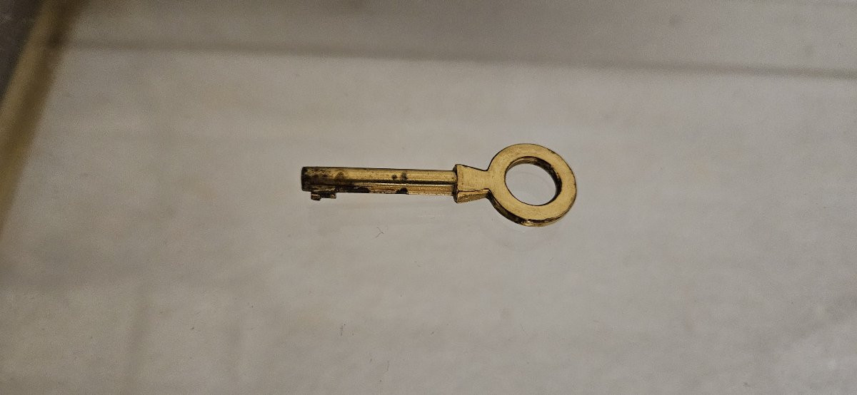 Vitrine de présentation style LVI en bois et laiton doré – 4 étagères en verre -photo-6