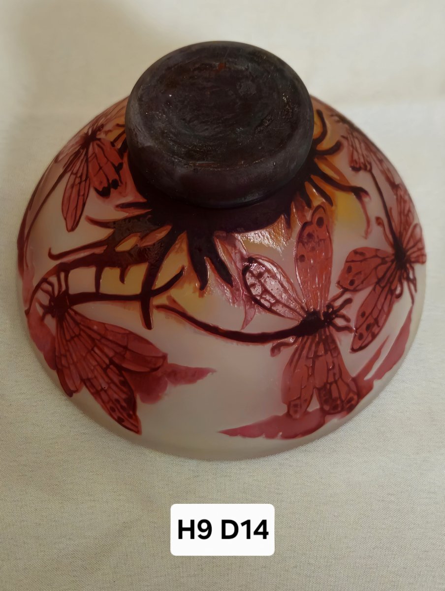 Glass Paste Bowl Decorated With Dragonflies – Art Nouveau Style  -photo-5