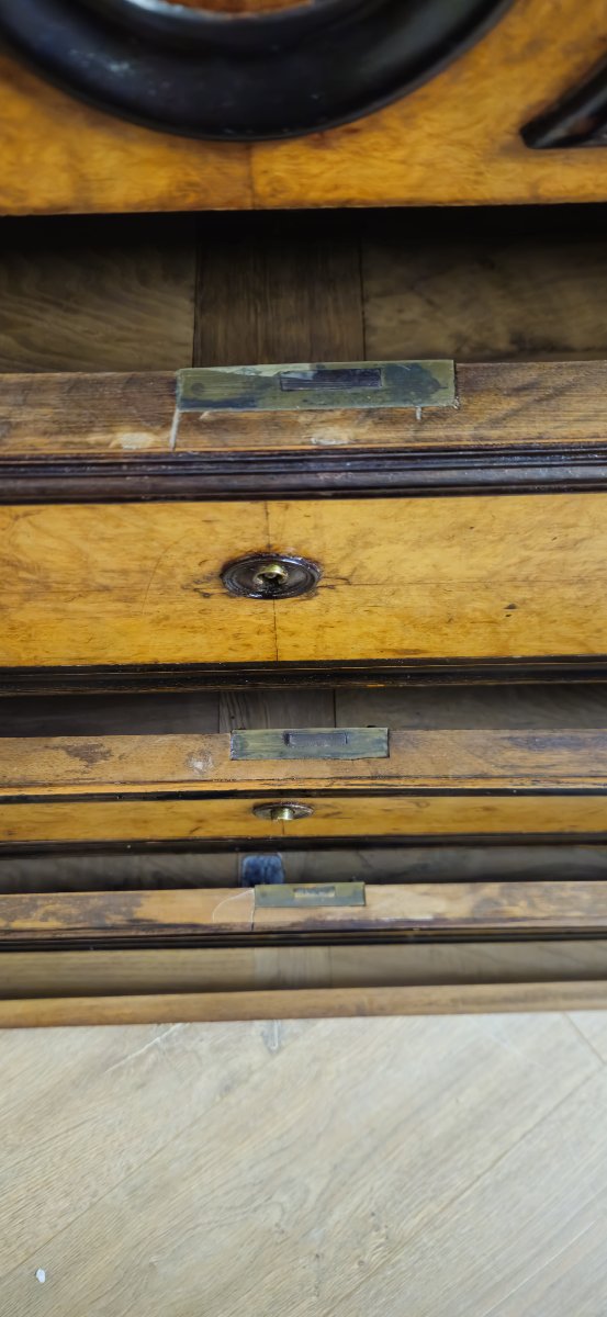 Charles X Period Chest Of Drawers In Maple And Blackened Pear Wood (circa 1820) -photo-6
