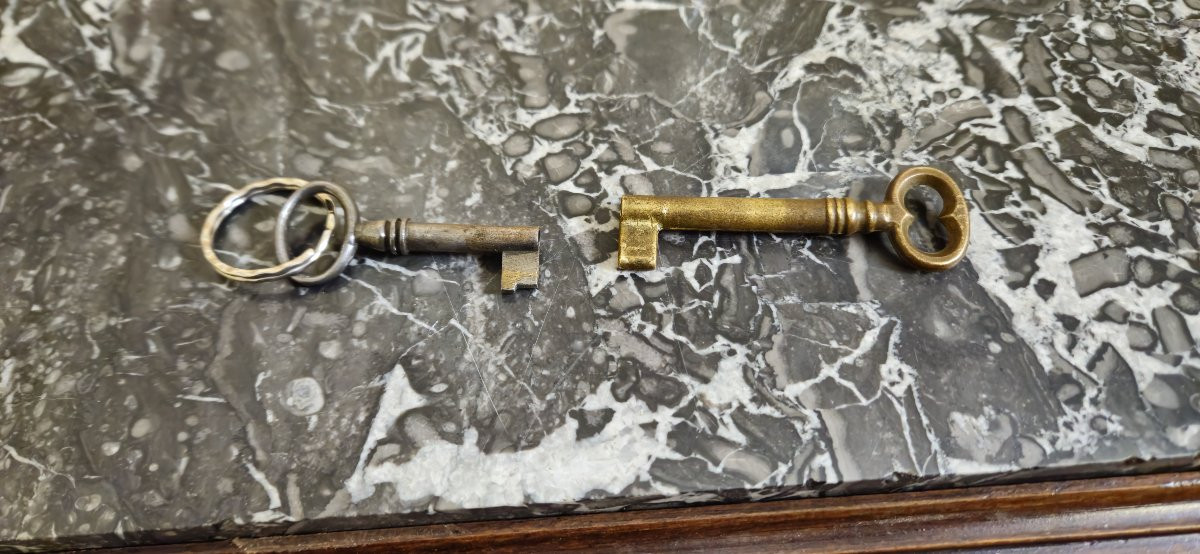 Charles X Period Chest Of Drawers In Maple And Blackened Pear Wood (circa 1820) -photo-7