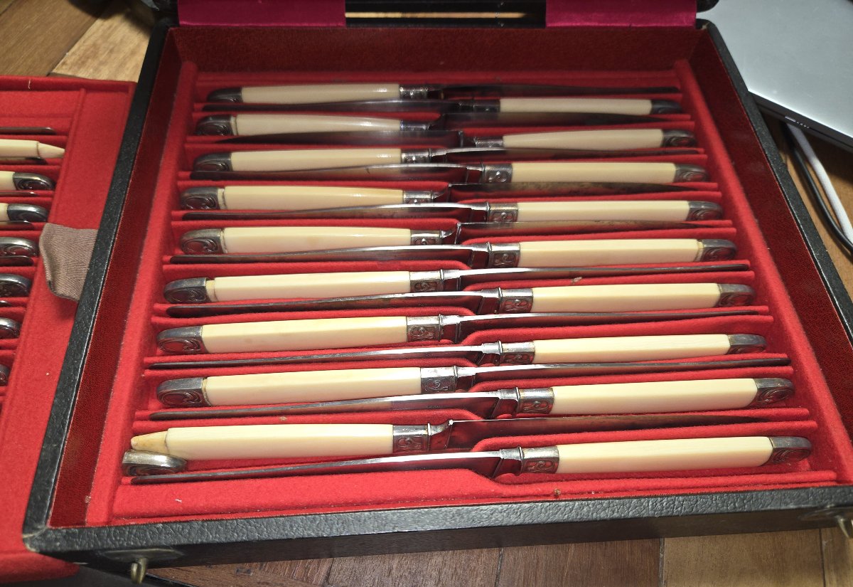Coffret époque Napoléon III contenant 36 couteaux de table avec manches imitation os -photo-2
