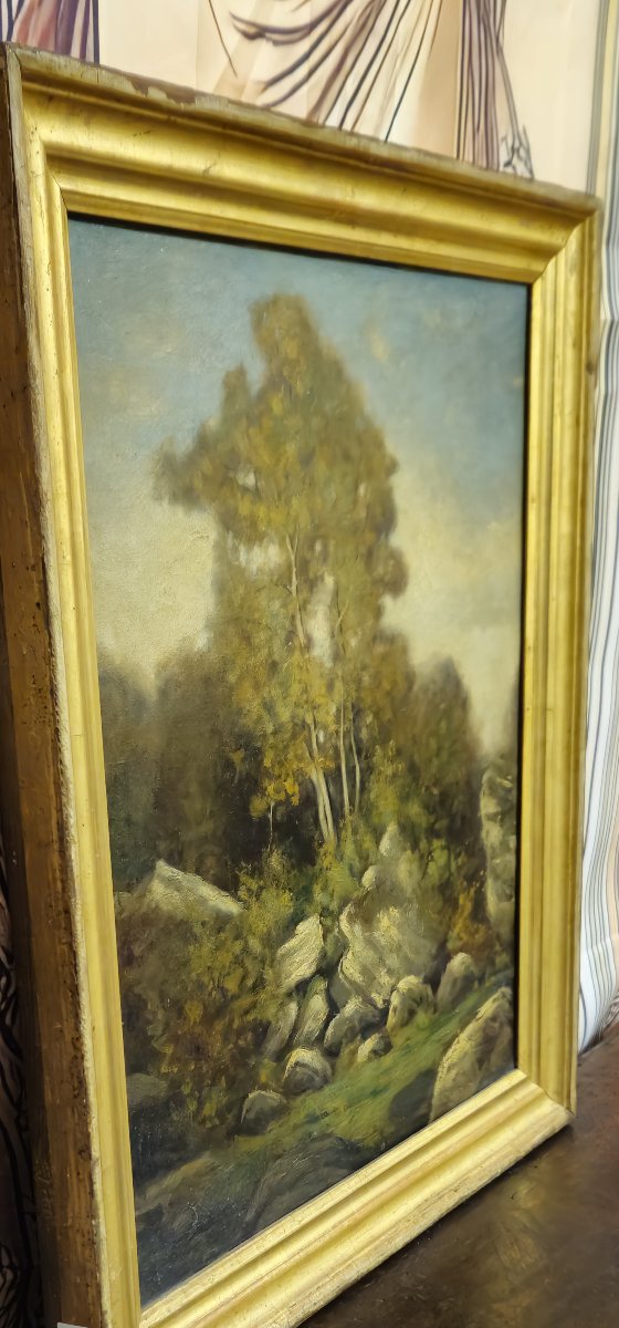 Antique Painting – Oil On Canvas – Landscape With Rocks And Trees – European School, 20th Century –-photo-3
