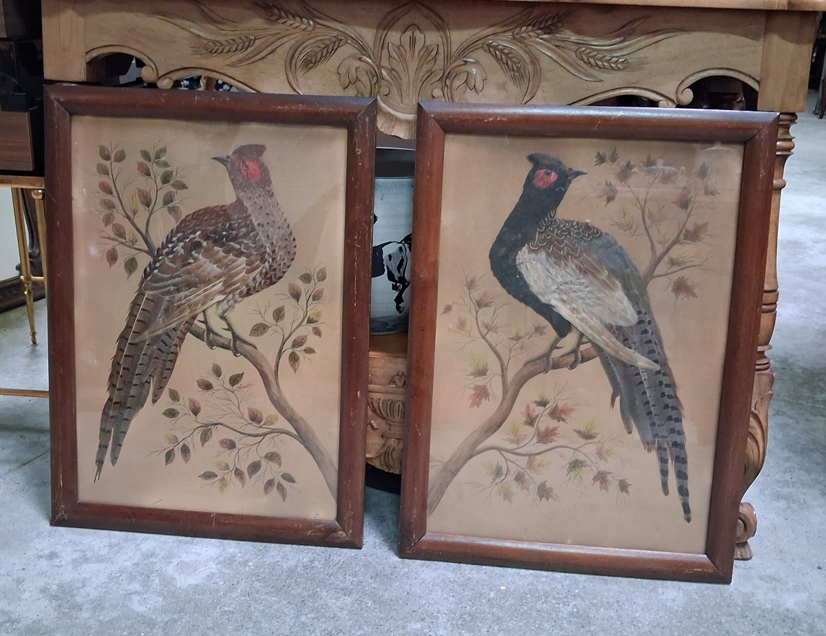 Paire de tableaux naturalistes en plumes véritables représentant des faisans ép. Napoléon III-photo-3
