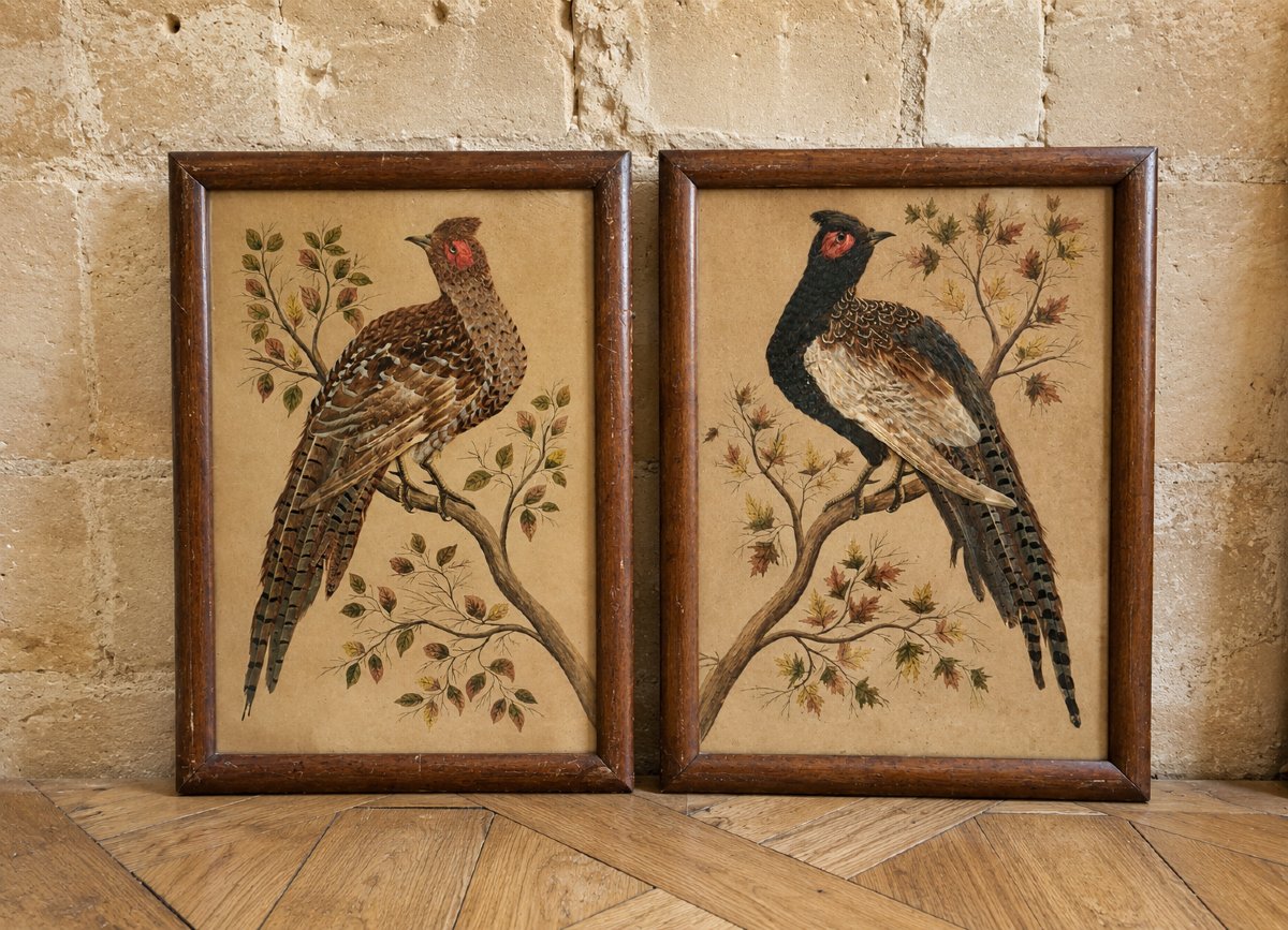 Paire de tableaux naturalistes en plumes véritables représentant des faisans ép. Napoléon III