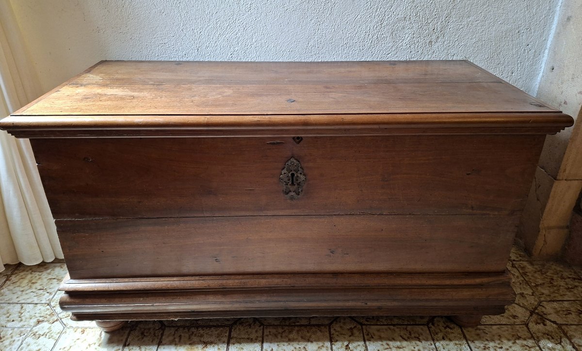 Louis XIII-period Burgundian Walnut Chest, 17th Century  -photo-3