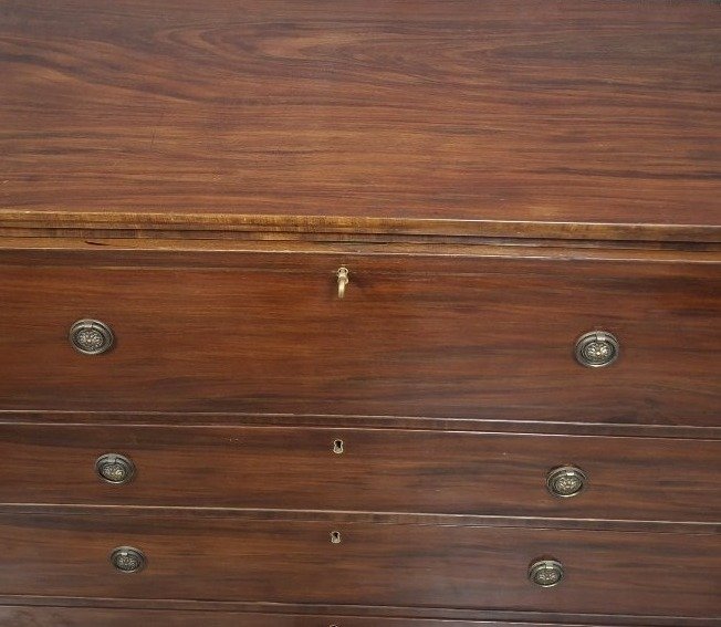 Mahogany Dresser-secretary – England, 19th Century  -photo-5
