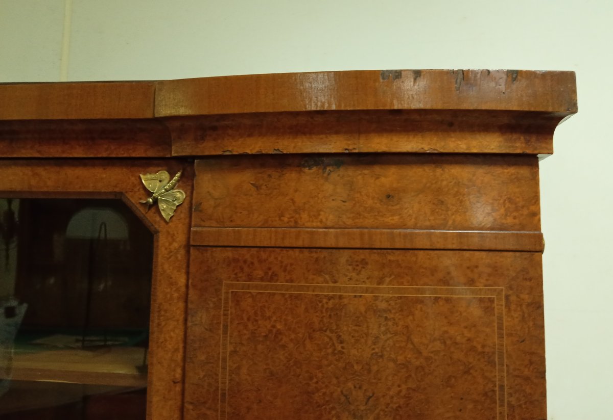 Bookcase With Marquetry And Inlay – Charles X / Biedermeier Style – 19th Century -photo-4