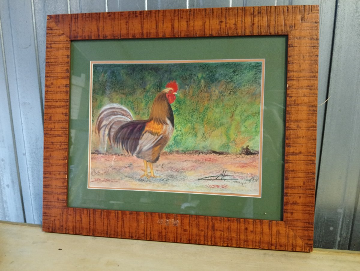 Rooster – Mixed Media / Pastel – Signed – Wooden Frame -photo-2