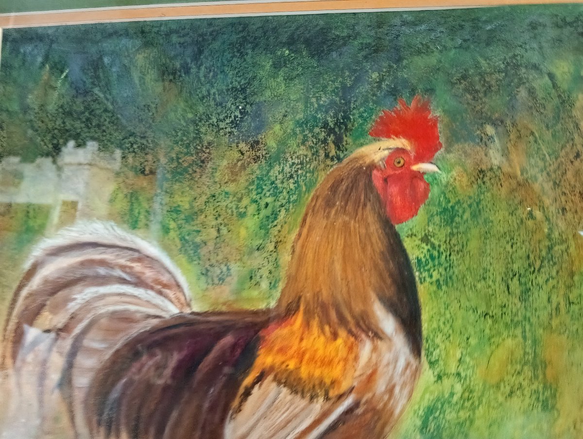 Rooster – Mixed Media / Pastel – Signed – Wooden Frame -photo-4