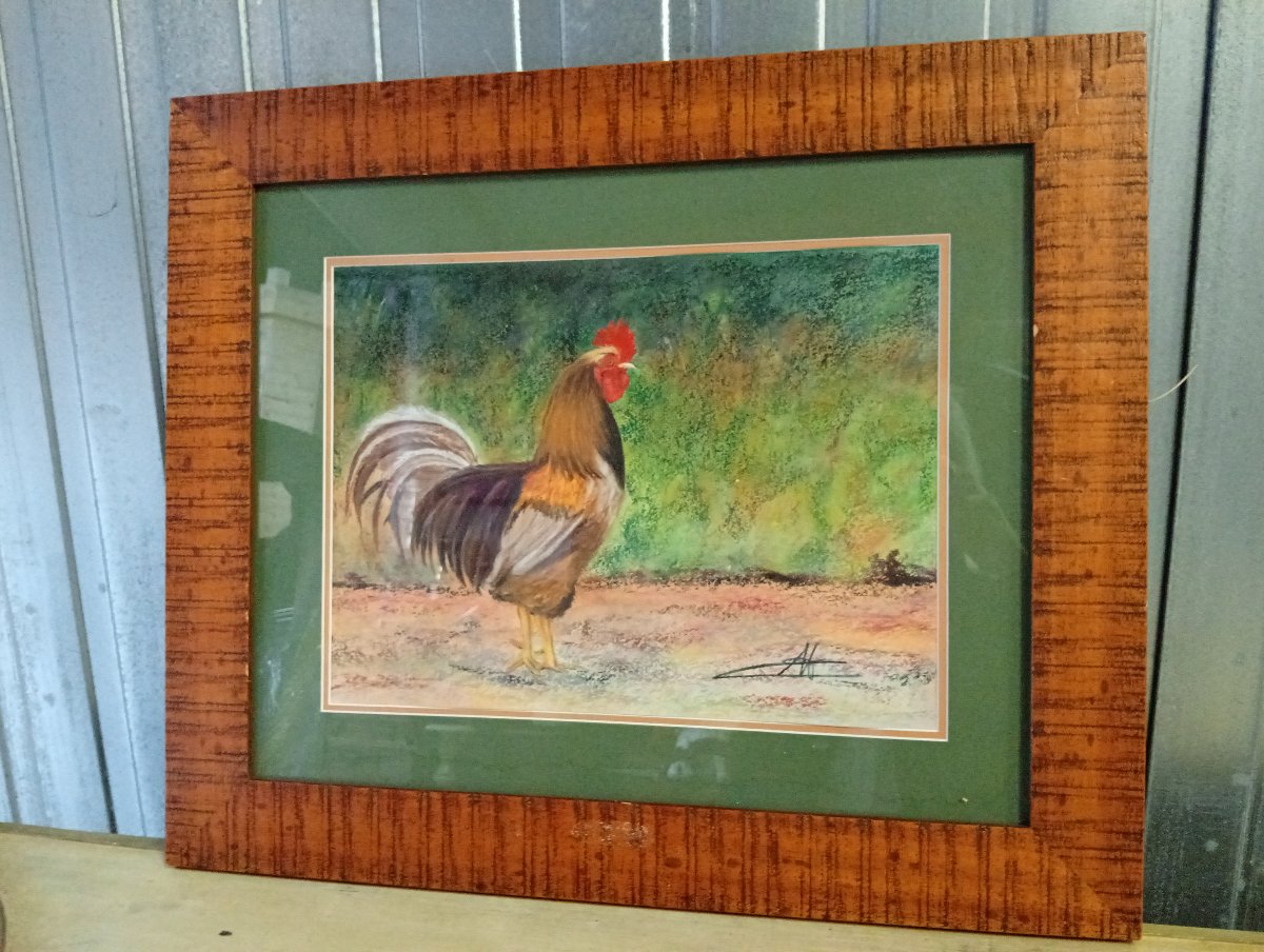 Rooster – Mixed Media / Pastel – Signed – Wooden Frame -photo-3