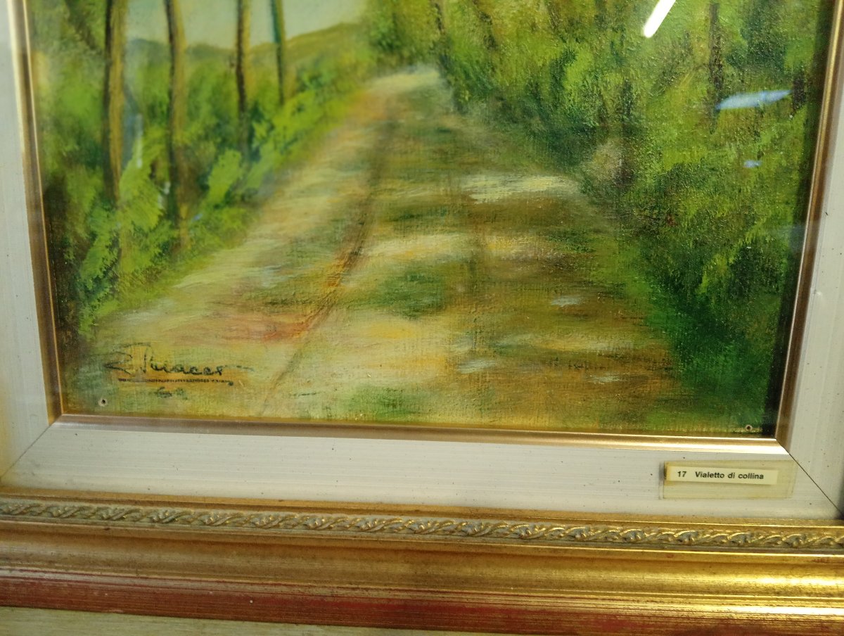 “vialetto Di Collina” – Tree-lined Country Road – Oil On Panel – 20th Century -photo-1