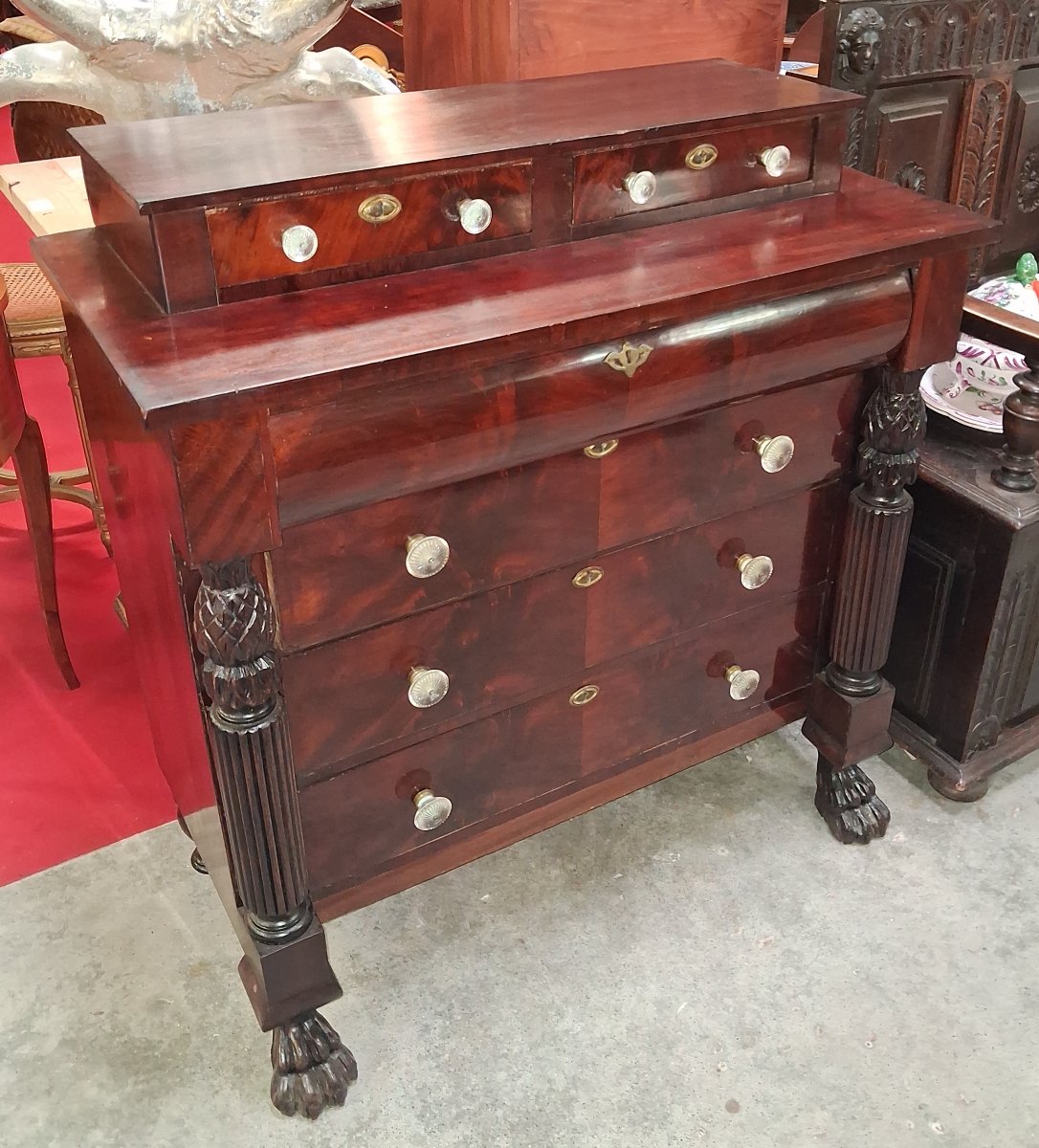 English Empire / Return From Egypt Mahogany Chest Of Drawers – Carved Columns – Claw Feet -photo-4