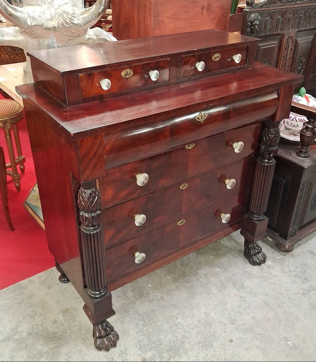 English Empire / Return From Egypt Mahogany Chest Of Drawers – Carved Columns – Claw Feet -photo-4