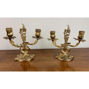 Pair Of Louis XV Rocaille Candelabra In Gilt Bronze With Two Candle Arms