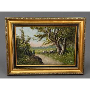 Paysage De Campagne - Oil On Panel Signed Anderson