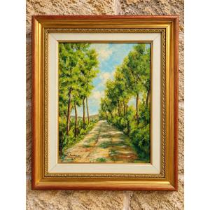 « Vialetto di collina » – Chemin de campagne arboré – Huile sur panneau – XXe siècle