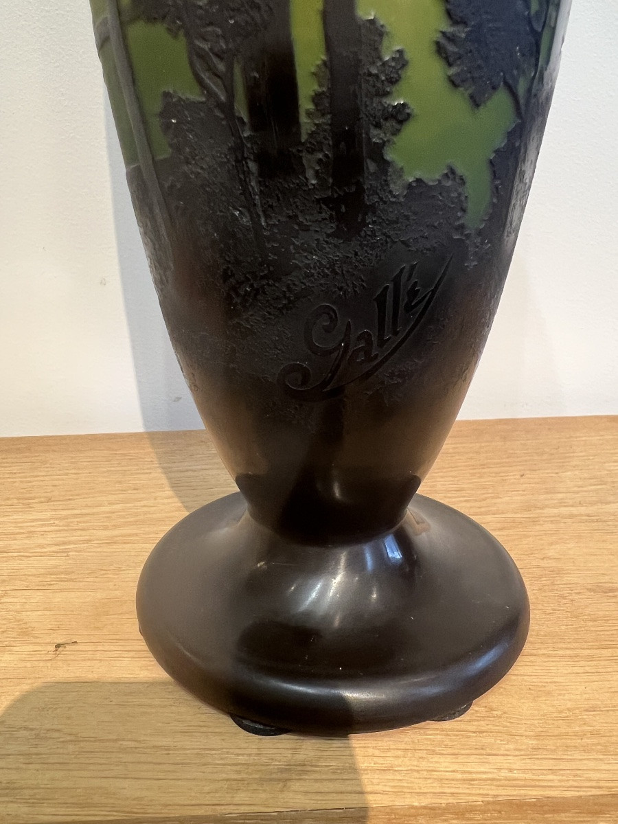 Vase Galle-photo-1