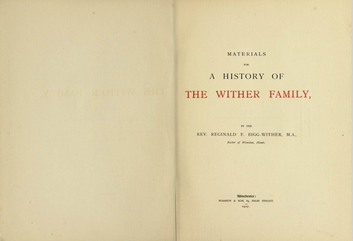 Portrait Of Jane Harris (later Mrs Bigg) In A White Dress And Blue Mantle C.1731; Enoch Seeman-photo-3