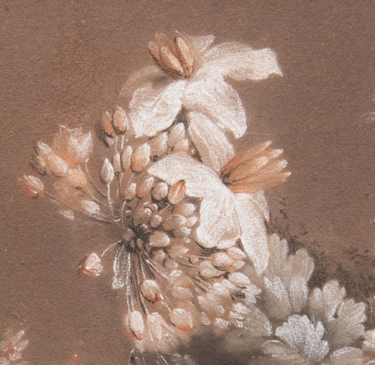 Antoine Berjon (lyon, 1754 - Id., 1843) - Study Of Flowers -photo-3